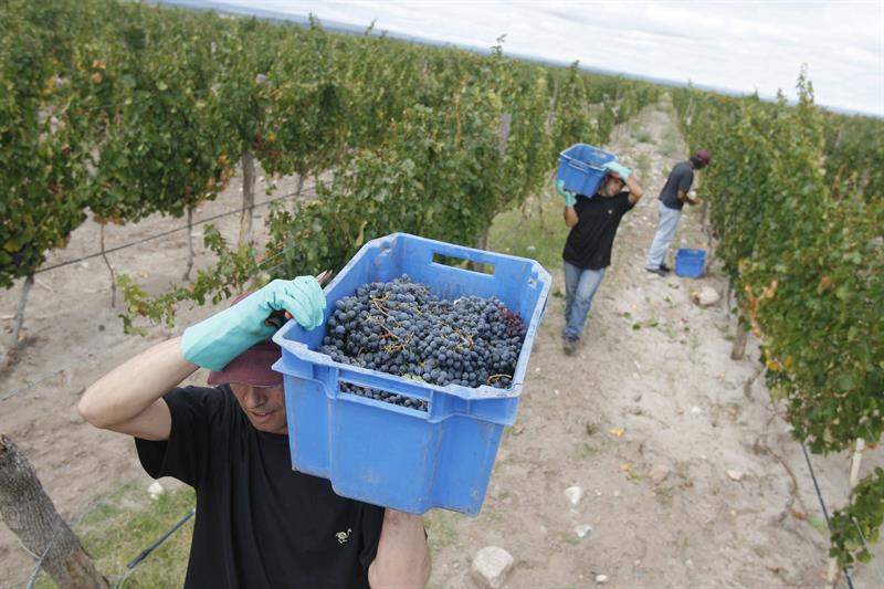  Il governo argentino smette di aumentare la tassa sui vini e sui vini spumanti